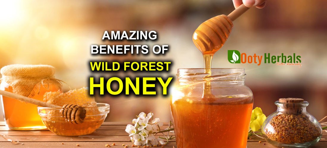 Ooty Herbals promo