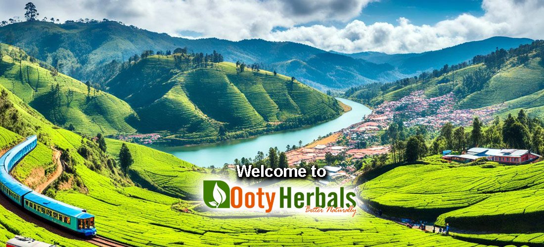 Ooty Herbals promo